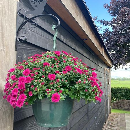 De Barg Villa Vinkenbuurt Buitenkant foto