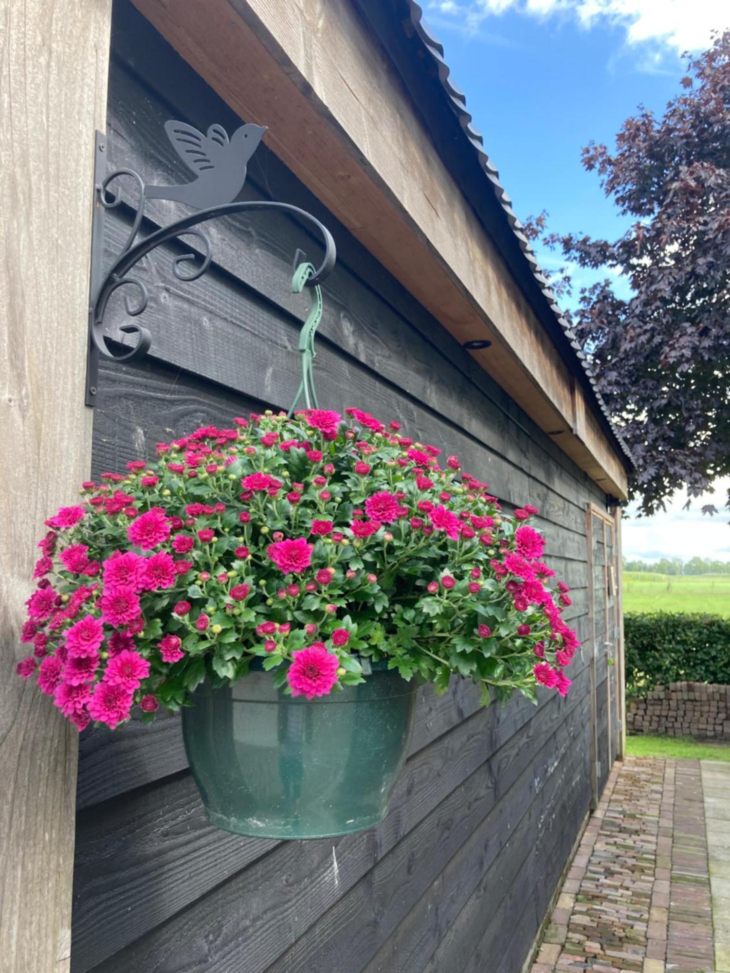 De Barg Villa Vinkenbuurt Buitenkant foto